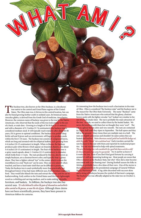 InDesign Page Layout 的图像结果