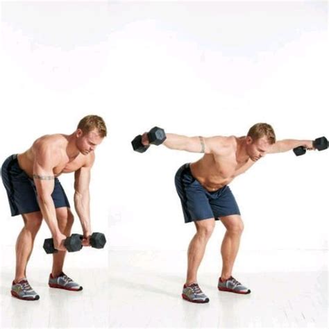 Image result for Bent Over Dumbell Flys Using Bench