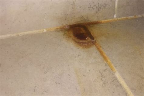 Image result for How to Remove Rust From Granite