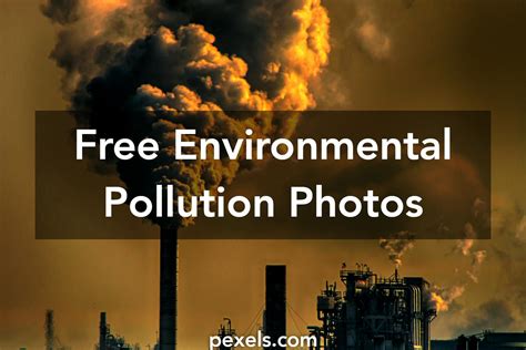 Environmental Pollution 的图像结果