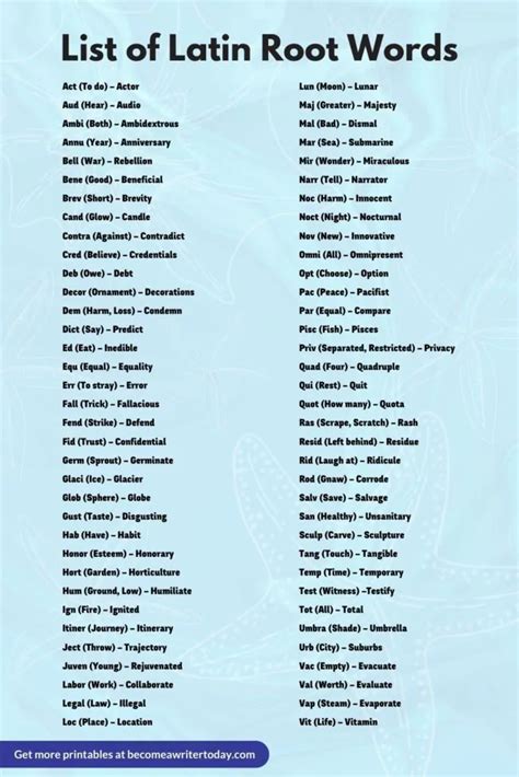 70+ List Of Latin Root Words