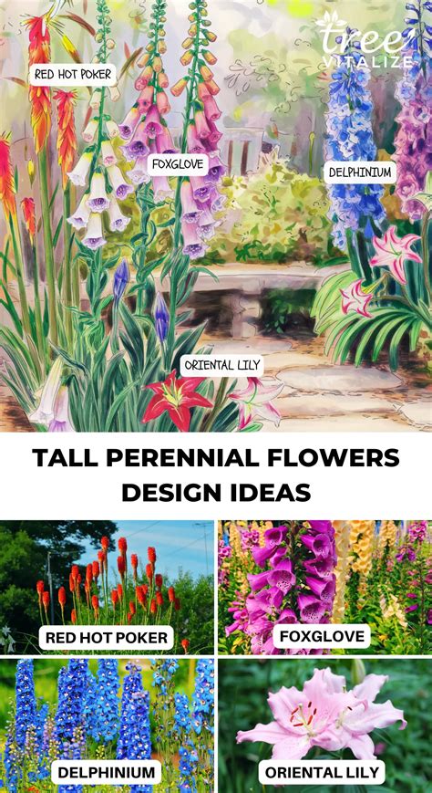 16 Tall Perennial Flowers That Make a Bold Statement in Your Garden