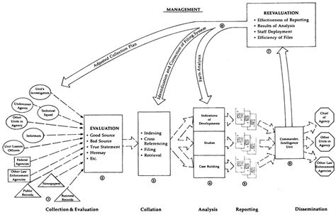 Intelligence Process 的图像结果