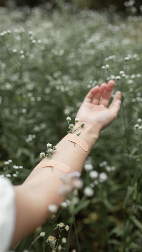 Download wallpaper 800x1420 hand, flowers, patch, field, daisies iphone ...