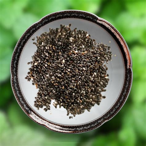 Green Paradise® Mint IMP. (Herbs) Seeds Pack – GreenParadiseLive