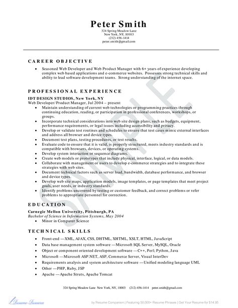 Image result for Example of Web Developer Resume