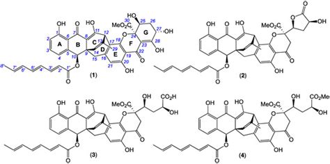 Jugiones A–D: Antibacterial Xanthone–Anthraquinone Heterodimers from ...