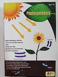 Buy planmystudy Photosynthesis Study Biology Kit Online at Low Prices ...