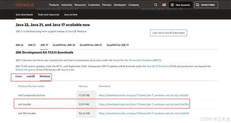 Java 1 17 Update 的图像结果