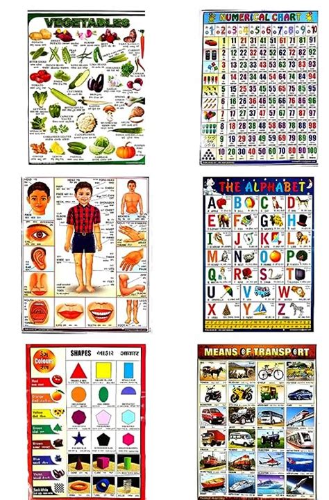 e shopping® educational charts set of 10- Multi color : Amazon.in ...