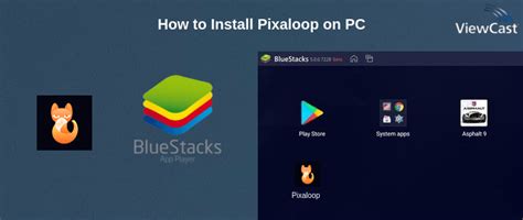 Pixaloop Tutorial 的图像结果