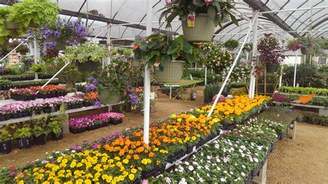 J & J Nursery | Plants, Flowers, Shrubs, Trees, Ground Cover, Vines ...