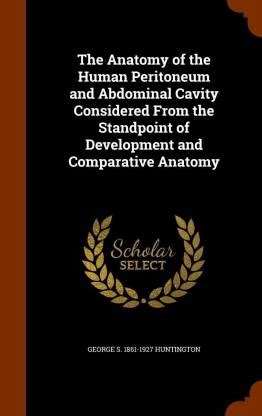 The Anatomy of the Human Peritoneum and Abdominal Cavity Considered ...