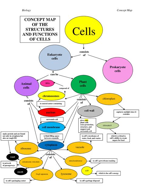 Cell Structure Mind Map 的图像结果