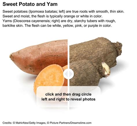Difference Between Yams And Sweet Potatoes What Is The Difference