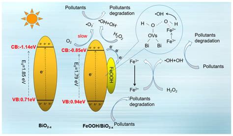 Molecules | February-2 2024 - Browse Articles