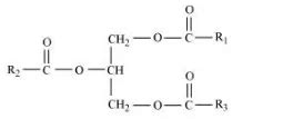 Explain the composition of triglyceride.