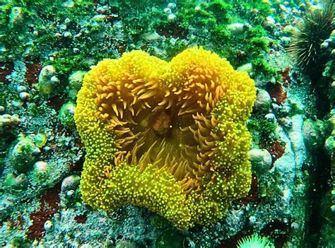 SB DIVERS (2025) All You Need to Know BEFORE You Go (with Photos ...