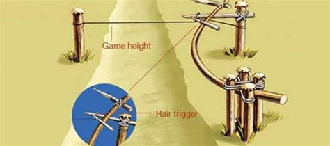 Image result for Primitive Catching Bird