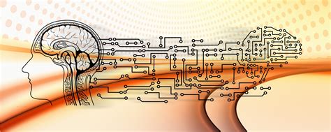 Image result for Operational Definition Life Example
