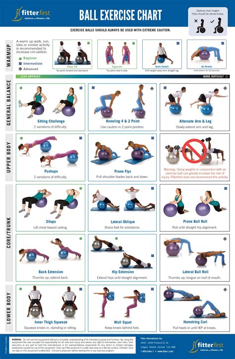 Exercise Ball Core Exercises 的图像结果