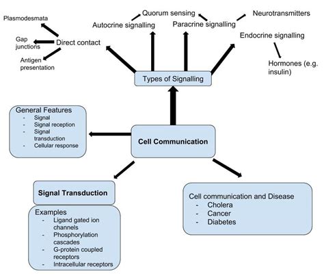 Cell Communication Concept Map 的图像结果