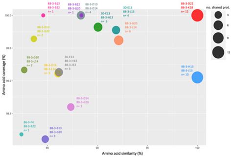 Into the Dark: Exploring the Deep Ocean with Single-Virus Genomics