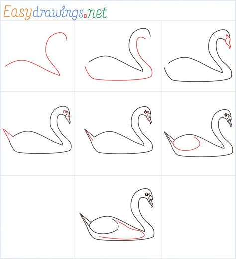 How to Draw a Swan Feet 的图像结果