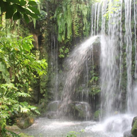 SOUTHERN CHINA BOTANICAL GARDEN (2026) All You Need to Know BEFORE You ...