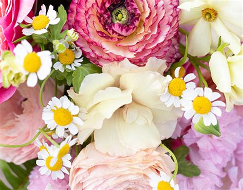 Image result for Spring Flower 321