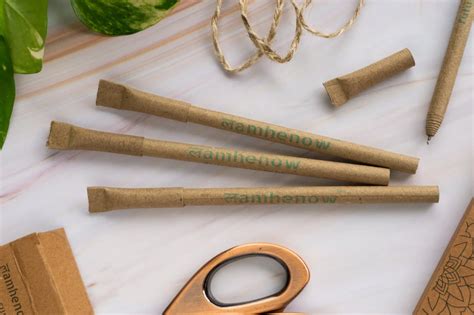 Eco-Friendly Paper Pens (Pack of 5) | Lamhenow