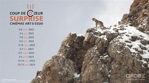 L'Afcae lance la saison 2 de « Coup de Cœur Surprise » - Boxoffice Pro