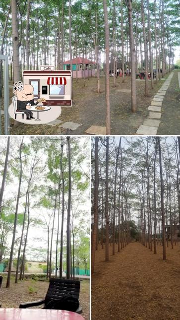 THE TREE CAFE AND RESTAURANT, Latur - Restaurant menu, prices and reviews
