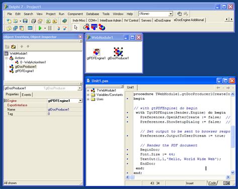 Image result for Dynamic Components Delphi