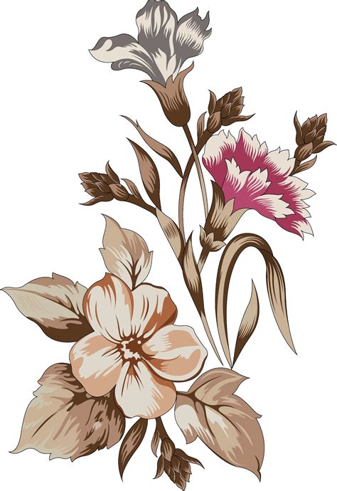 flower drawing no background