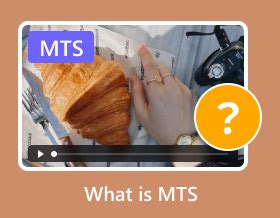 MTS Question 的图像结果
