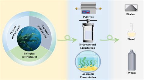 Synergistic Conversion and Catalytic Upgrading of Seaweed Biomass for ...