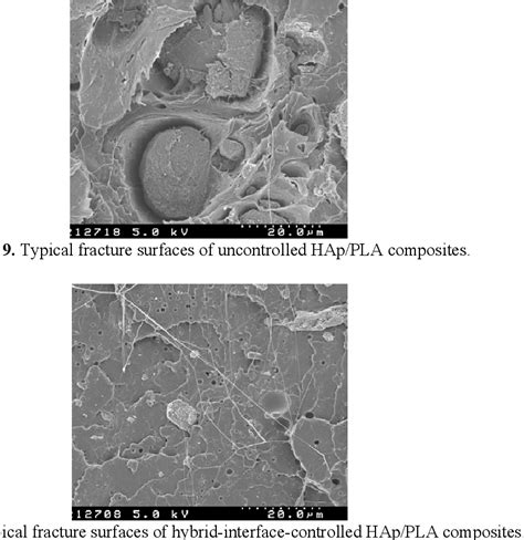 Image result for Hap Interface