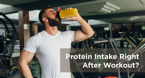 Is it Really Important to Have Protein Right After Your Workout Sessio ...