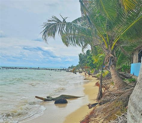 Wildlife In Cancun, Mexico: What Kind Of Animals You Can See