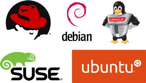 Image result for Oracle Linux New Logo