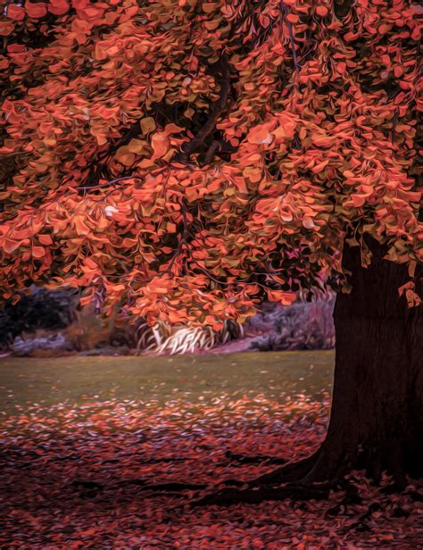 Oil Painting Autumn Tree Free Stock Photo - Public Domain Pictures