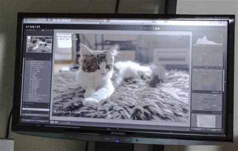 Wallpaper Mitsubishi, Hi-Tech, cats, other for mobile and desktop ...