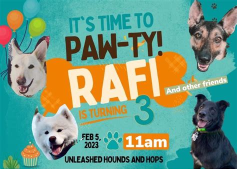 Pawty of all Pawty’s: Rafi, Olaf, Luna and Sora’s birthday palooza ...