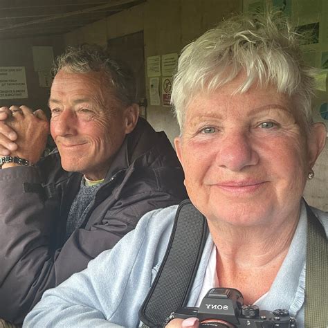 GIGRIN FARM RED KITE FEEDING CENTRE - All You Need to Know BEFORE You ...