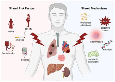 Multifactorial Diseases of the Heart, Kidneys, Lungs, and Liver and ...