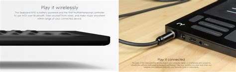 Roli Seaboard Rise 25 MIDI Controller : Amazon.in: Musical Instruments