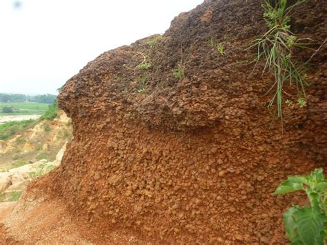 Life is amazing - enjoy it: Grand canyon of Bengal - Gongoni