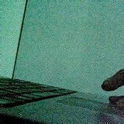 Raspberry PI 5MP Camera Board Module: Amazon.in: Industrial & Scientific