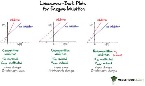 Noncompetitive Vs Uncompetitive Inhibition